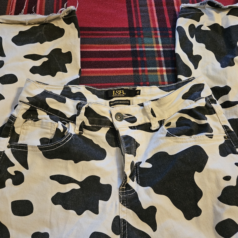 Cow bootcut pants